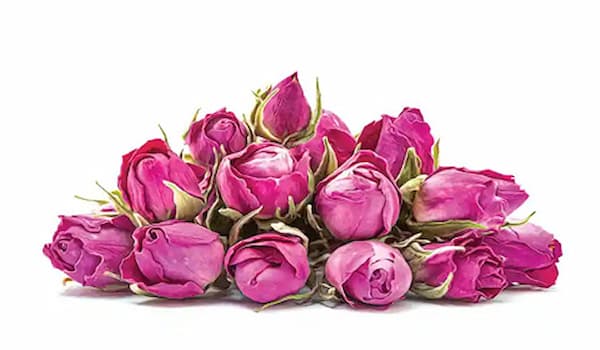 تصویر 1 از قیمت خرید غنچه گل محمدی کرمان + فروش ویژه